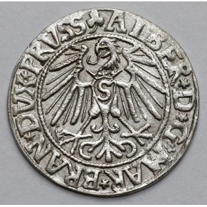Prussia, Albrecht Hohenzollern, Grosz Königsberg 1546