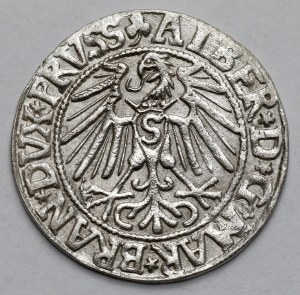 Prussia, Albrecht Hohenzollern, Grosz Königsberg 1546