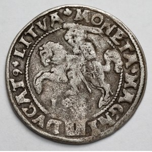 Sigismondo II Augusto, moneta lituana a piede 1546, Vilnius