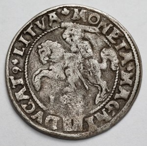 Sigismund II Augustus, Grosz per Lithuanian foot 1546, Vilnius