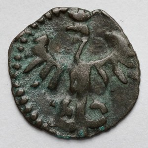 Casimir IV Jagiellonian, Denarius of Krakow -.