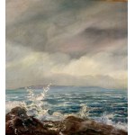 UNIDENTIFIED SIGNATURE, Stormy sea
