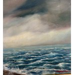 UNIDENTIFIED SIGNATURE, Stormy sea