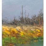 NIEZNANY PODPIS, Krajobraz