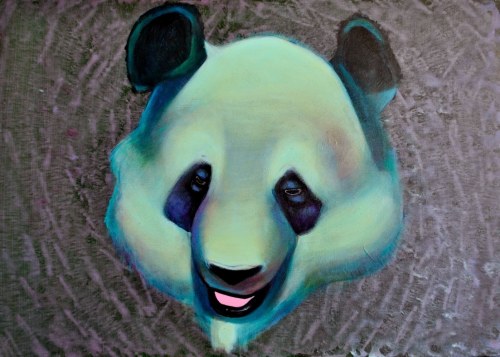 Jonasz Koperkiewicz, Panda
