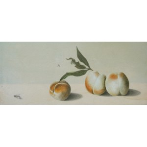Łukasz Leszczyński, Martwa natura z muchą, 2015