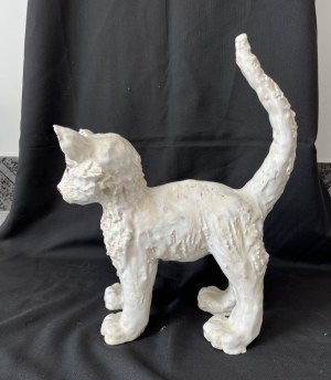 Paula Solanska, Cat