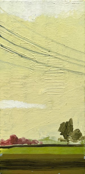 Monika Stolarska, Pejzaż 3, 2006