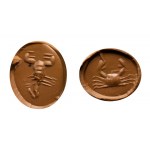 A lot of 2 Roman yellow jaspers intaglios. A crab and a scorpio.