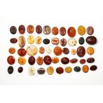 A lot of 50 hardstone intaglios. Various subjects.