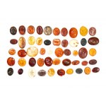 A lot of 50 hardstone intaglios. Various subjects.