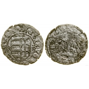 Poland, denarius, (ca. 1444)