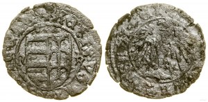 Poland, denarius, (ca. 1444)