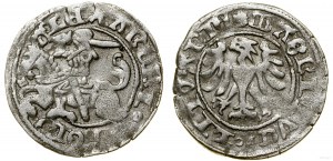 Poland, half-penny, Vilnius