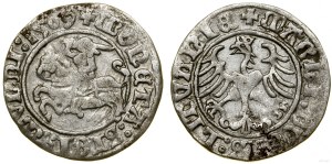 Polsko, půlpenny, 1509, Vilnius