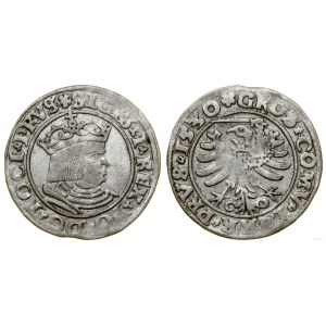 Polonia, penny, 1530, Toruń