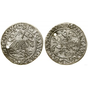 Poľsko, polgroš, 1559, Vilnius