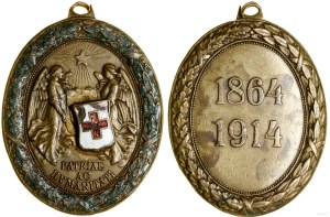 Austria-Hungary, Bronze Medal of Honor of the Red Cross
