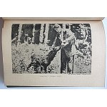 GREY OWL - SZARA SOWA ( WA - SHA - QUON - ASIN ). Historja opuszczonego szałasu...