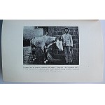 MASTERS DAWID. Zwycięzcy chorób. W-wa 1937. Wydawnictwo J. Przeworskiego. Druk. Zakł. Druk. Galewski i Dau...