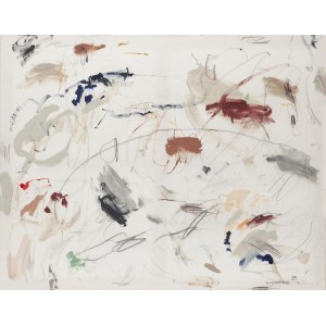 Agnieszka Zapotoczna (ur. 1994, Wrocław), No one stopped me, 2025