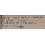 Łukasz Ratz, Widzę przez mój noktowizor, że robot z bobu spaceruje po ogrodzie..., 2016