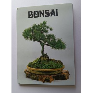 SATZ VON 15 POSTKARTEN BONSAIBAUM