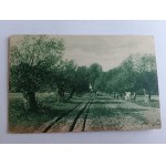 POSTCARD VILLAGE, ORCHARD, FIELD, AGRICULTURE, T-WA PUBLISHING HOUSE ORPHAN NESTS VICTIMS