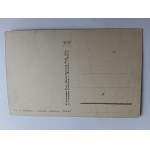 POSTCARD VILLAGE, ORCHARD, FIELD, AGRICULTURE, T-WA PUBLISHING HOUSE ORPHAN NESTS VICTIMS