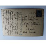 POCZTÓWKA POZNAŃ STAW W PARKU SOŁACKIM, PRZEDWOJENNA 1929 R, ZNACZEK, STEMPEL