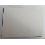 POSTCARD THINK GANICAL GUARD, STAMP, STAMP