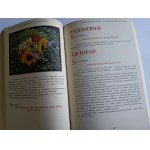 PRZEWODNIK KATOLIKA