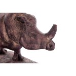 Damian Reniszyn (né en 1989 à Jelenia Góra), Rhinocéros, 2006