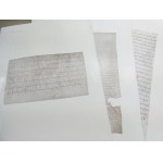 Album paleographicum Krzyżanowski