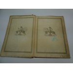 Uczeń czarnoksiężnika Goethe; il. Olga Siemaszko