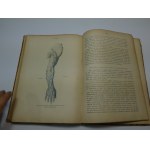 Anatomja człowieka Bochenek 1921 TOM 3