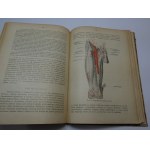 Anatomja człowieka Bochenek 1921 TOM 3