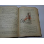 Anatomja człowieka Bochenek 1921 TOM 3