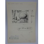Zbigniew Lengren - Among forests and fields - Dwarf - 500 riddles about Poznań and Greater Poland
