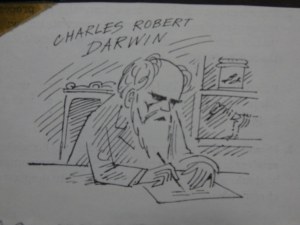 Zbigniew Lengren - Darwin