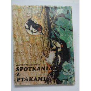 Rencontres avec des oiseaux Pawlowski