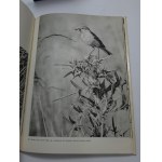 Rencontres avec des oiseaux Pawlowski