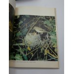 Rencontres avec des oiseaux Pawlowski
