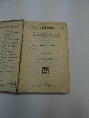 Flora von Deutschland Schmeil Fitschen 1914