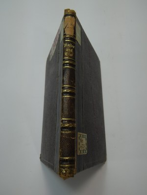 die nester und tier vogel 1874