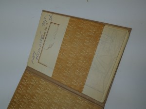 Dodatek k Roku 1920 Józefa Piłsudského