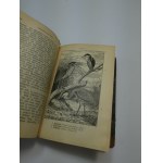 Die deutschen Sumpf- und Strandvögel Floericke