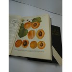 Russian Nature Encyclopedia 1951