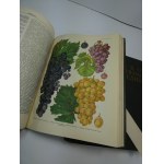 Russian Nature Encyclopedia 1951