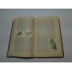 Floericke Die Vogel des deutschen Waldes